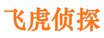 汶川市调查公司